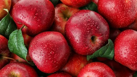 تصویر 4 از خرید و قیمت سیب قرمز خارجی + فروش صادراتی